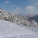 스톤크릭 이미지