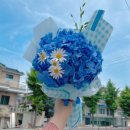 사림동196 이미지