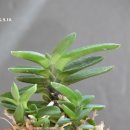 석부농장 이미지