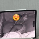 배스킨라빈스경산무학점