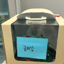 포포케이크 이미지
