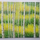 (주)보고유화 이미지