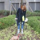 슈에뜨트레이드 이미지