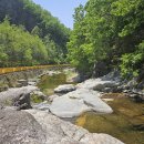 삐삐라떼 | 동해 애견동반숙소 TOP 6곳 비교와 선택 포인트 후기 많은 곳