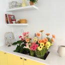 수성부부한의원 이미지