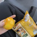 반 휘트니스 이미지