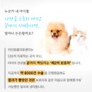 화정동물병원 | 화정24시동물병원, 믿을 수 있는 곳의 2가지 특징