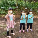 풍산초병설유치원 이미지