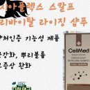 셀메드 오늘약국 이미지