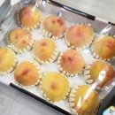 훈이네야채가게