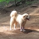 울산농장 이미지