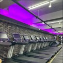 나다피트니스 이미지