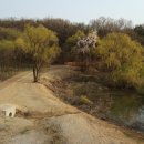 펠리스뻬로 이미지