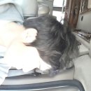 사림동147 이미지