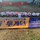 메이저교육
