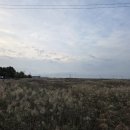 탄도항 노을 캠핑장 이미지