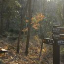 유달산둘레길 이미지