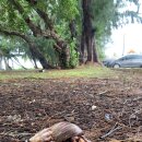 오늘도맑음 이미지