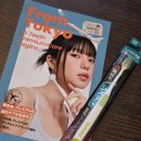 바스코리아 | 돈키호테칫솔 추천 시스테마 시카리케고시 초콤팩트 칫솔 후기 (바스법으로 양치하기)