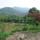 판교농장 이미지