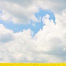 세상의모든아침 이미지