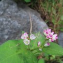 (주)비행기 이미지