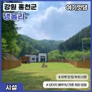 편안한 댕 이미지