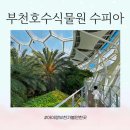 아이랑 부천 나들이 부천 수피아 식물원 방문 후기 (주차정보, 예약정보)