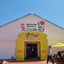 소망인삼 | [26년도 봄축제] 2026태안국제원예치유박람회 다녀온 후기