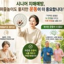어르신 스마트폰 독립 네이버블로그
