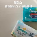 (주)나온소프트 | 팸퍼스 엔젤브리즈 소프트팬티 vs 베이비드라이 후기