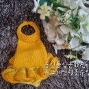 풀잎문화센터 춘천지부 네이버블로그