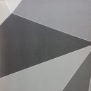 Geometric 이미지