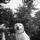 즐거운 클래식기타 (A) 이미지