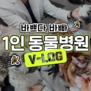 사랑플러스 동물병원 이미지