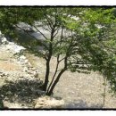 하모니민박 이미지