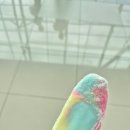 바라글로벌체험교실 | 글로벌사회공헌단 인도네시아 해외봉사 후기 (2)