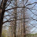 대화농업체험공원 이미지