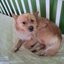 정촌119안전센터 이미지