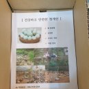 유학골 청계 청란