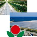 플러스농장 이미지