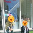 한량키즈 네이버블로그