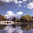 중국 운남성 여강 아름다운풍경 이미지