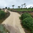 5단지레몬공인중개사사무소 이미지