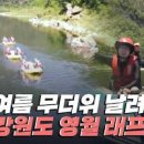 영월 동강 래프팅 레프팅 스릴 up 이미지