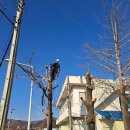 처리경로당 이미지