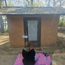 남동39 | 간석동점집 천신당에서 고민 해결하고 마음까지 바로잡은 후기