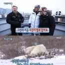 북극곰스튜디오 이미지