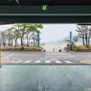 송도스포츠센터(부산서구스포츠클럽) 이미지