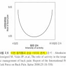 rehabilitation of spine 이미지